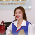 Việt Trinh 
