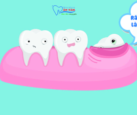 NHA KHOA BẢO TỒN - RĂNG KHÔN MỌC Ở ĐÂU VÀ DẤU HIỆU