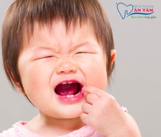 NHA KHOA BẢO TỒN - TRẺ MỌC RĂNG NÀO TRƯỚC? DẤU HIỆU MỌC RĂNG LÀ GÌ?